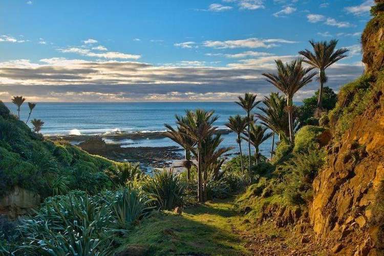 336 Te Hapu Road Kahurangi National Park_5