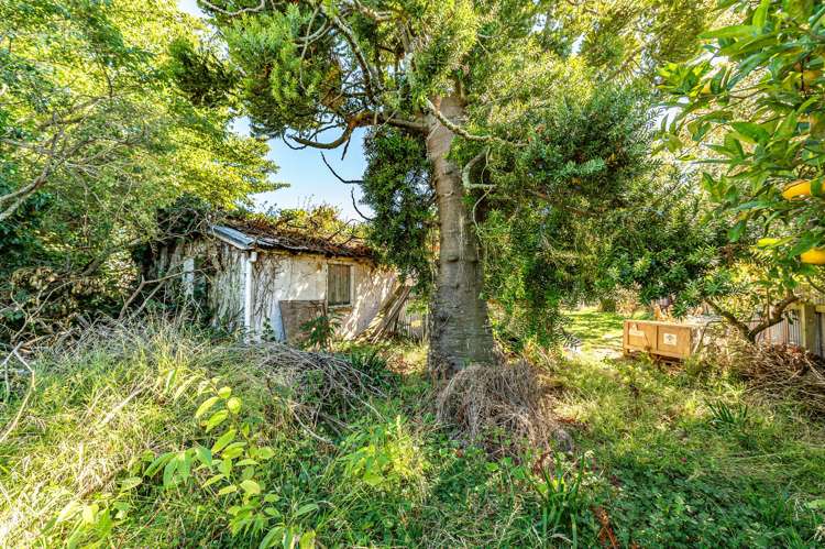 131a Harrison Street Wanganui Central_5