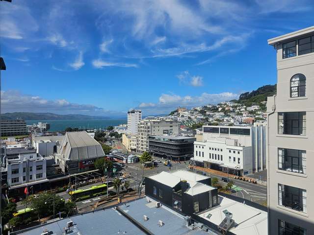 1 bedroom Apartment with Seaview, Te Aro