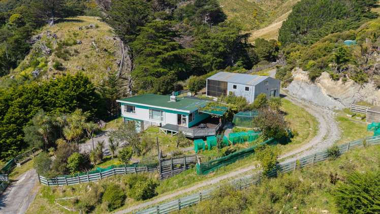 474A Makara Road Makara_28