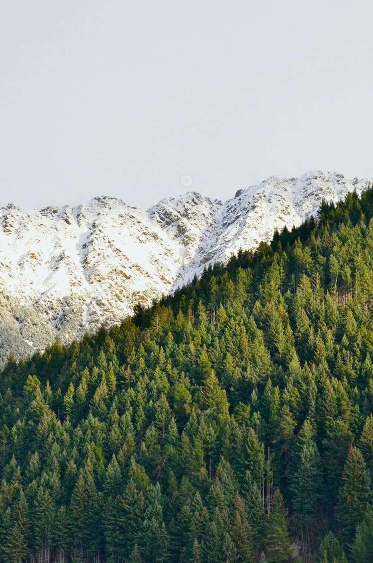 6/2 Powder Terrace Arthurs Point_10