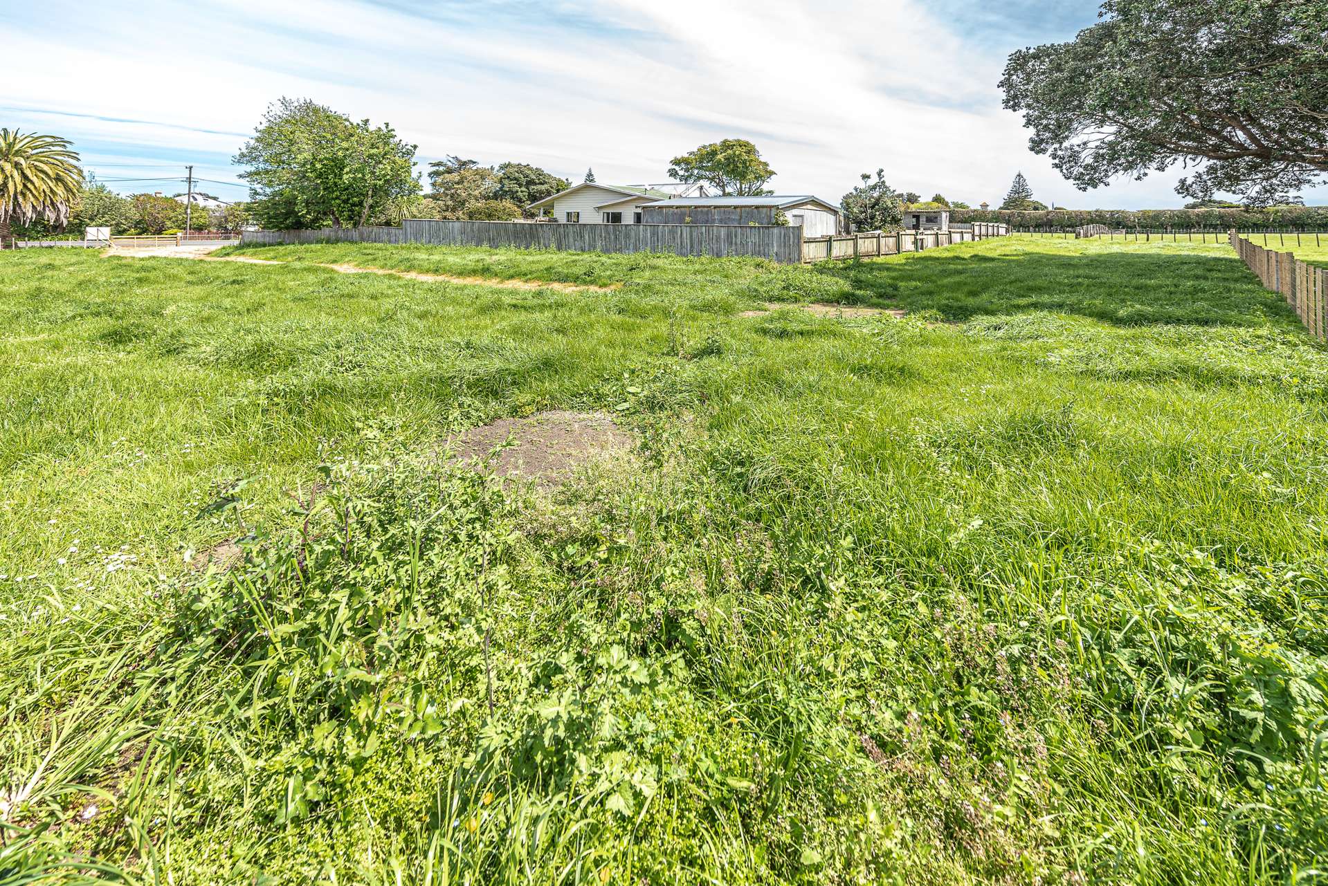 28 Weraroa Road Waverley_0