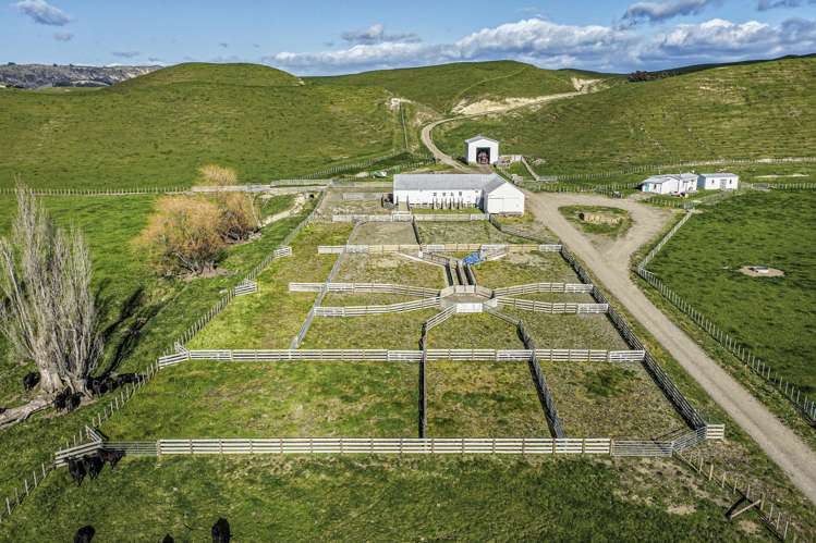 2152 Puketitiri Road Central Hawkes Bay Coastal_3