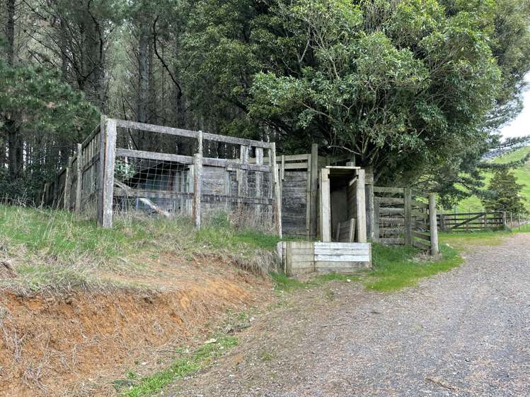 Mangakahu Valley Road Waimiha-Ongarue_11