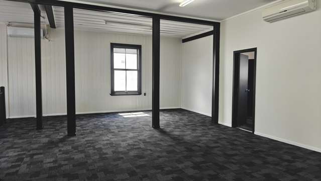 224a Dominion Road Mount Eden_3