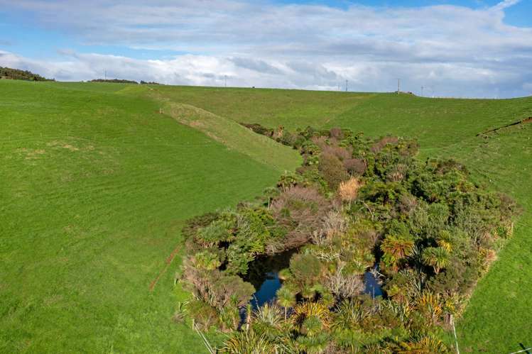 119 Te Papatapu Road_2