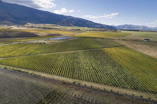 Reputable and Established Central Otago Vineyard