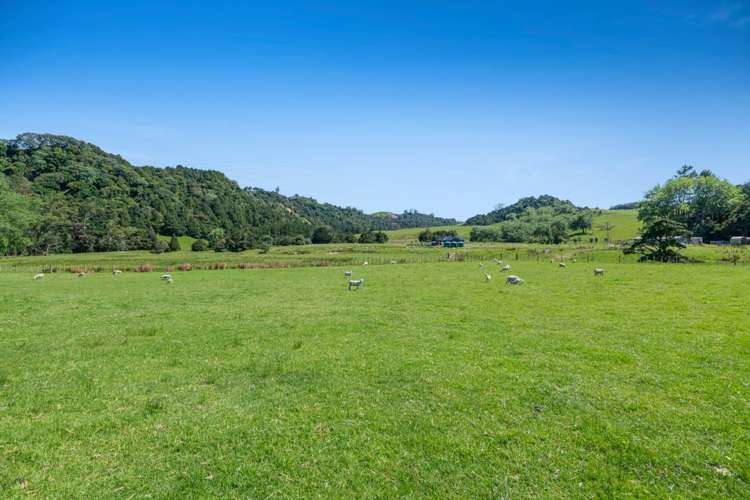 299 Haruru Road Kaukapakapa_15