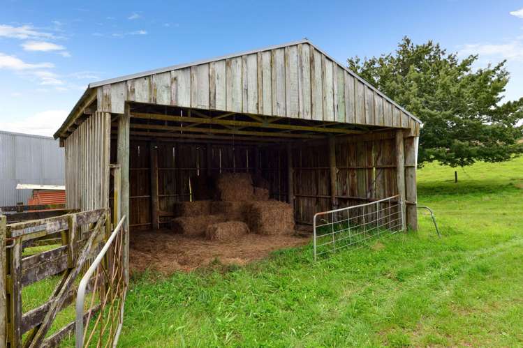 101 Willis Road Ngahinapouri_9