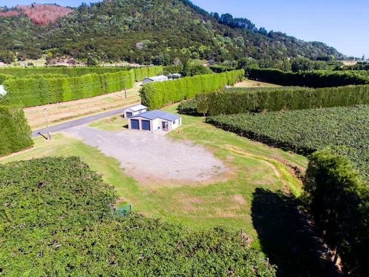 33 Burt Road Matata_6