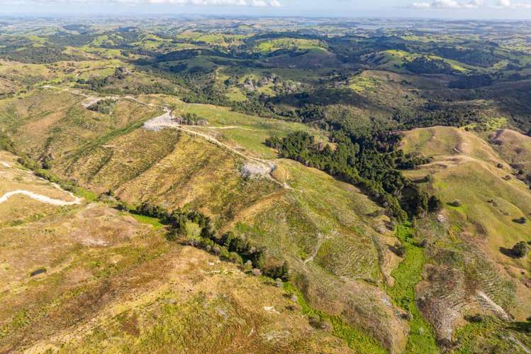 Arcadia Road Paparoa_10