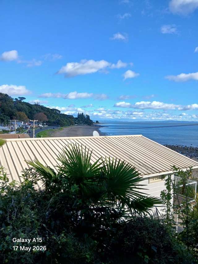  358 Thames Coast Road Thornton Bay_2