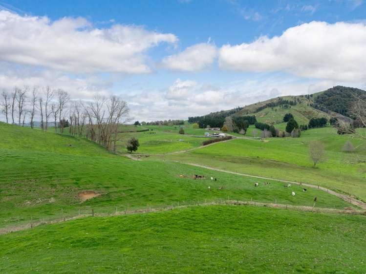 703 Bayley Road Te Awamutu_10