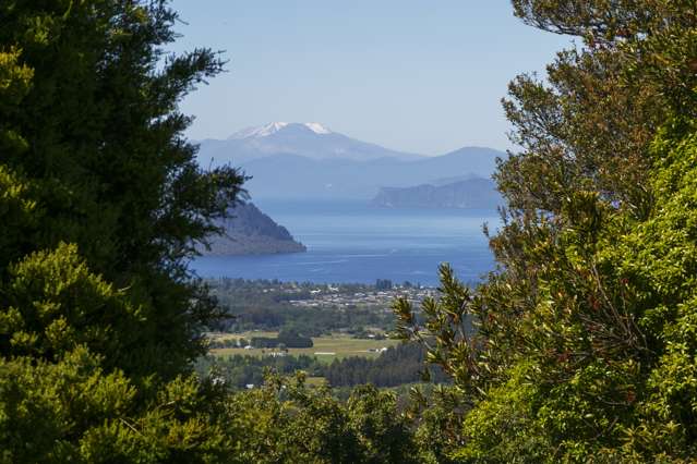 80 acre Lake and Alpine Estate