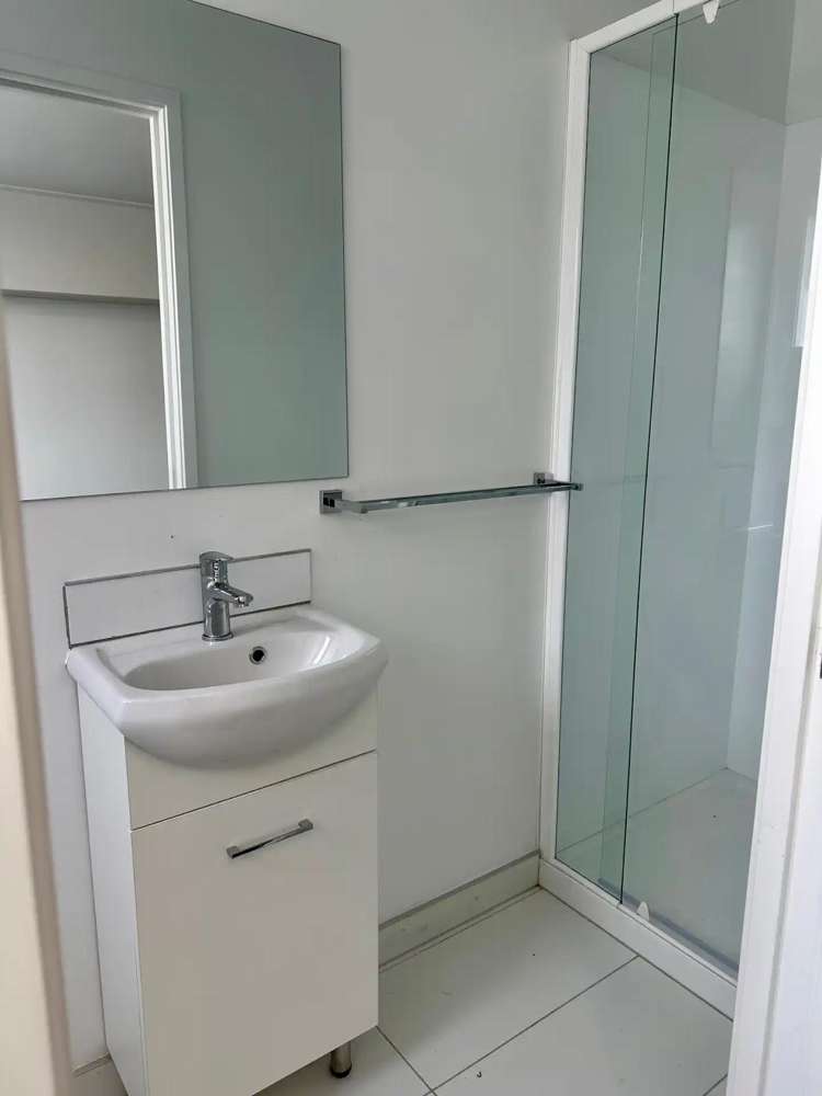 315 Dominion Road Mount Eden_6