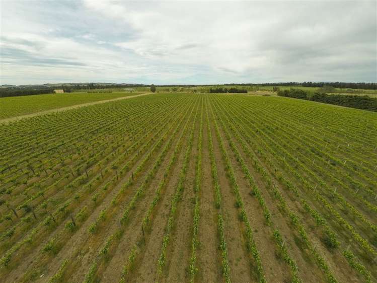 306 Georges Road Amberley_6