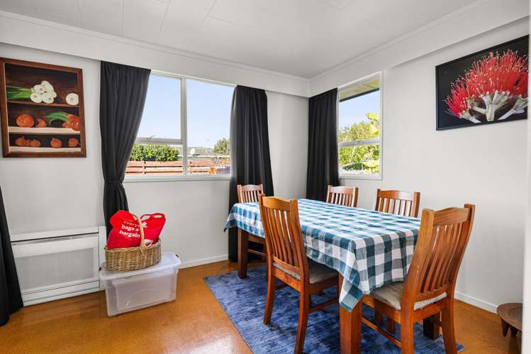 6 Windsor Street Springfield_4