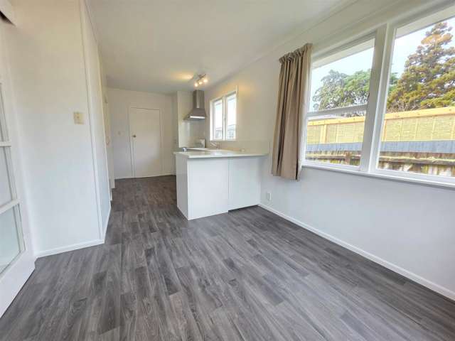 12 Aronui Terrace Kelston_2
