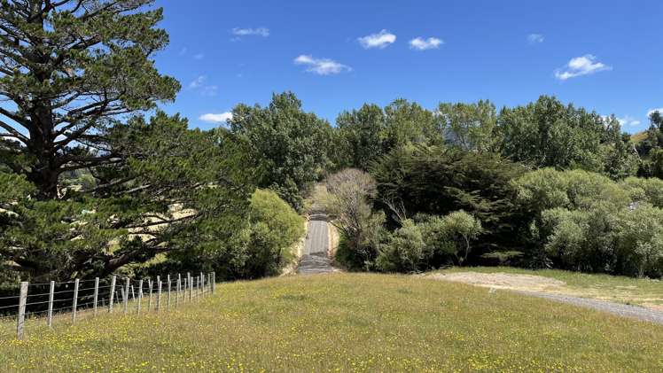 28 North Road Mauriceville_5