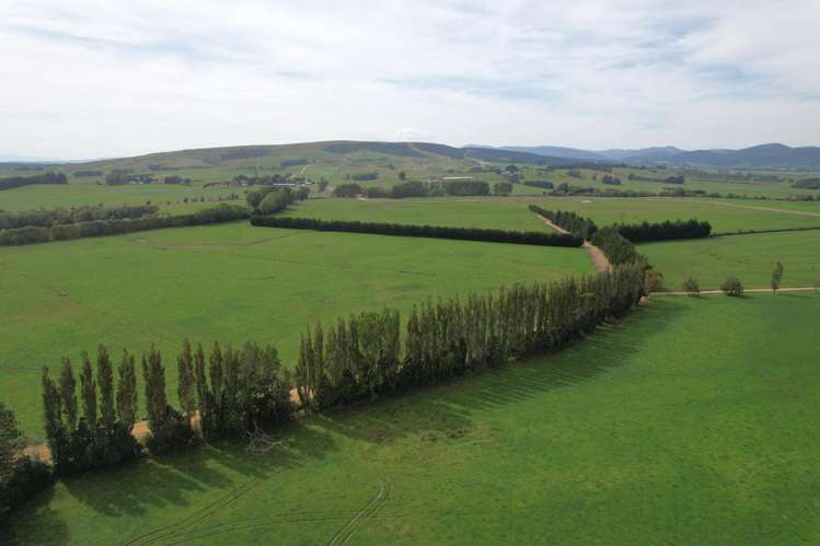 150 Hedgehope Block Road Hedgehope_9