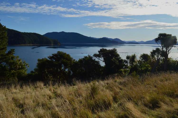 Block 11 Clova Bay Road Marlborough Sounds_3