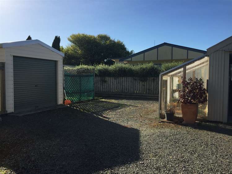 7 Bull Street Bulls_11