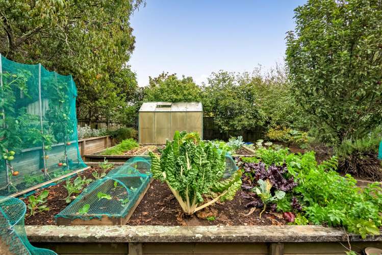 9 Adam Lile Drive Highlands Park_28