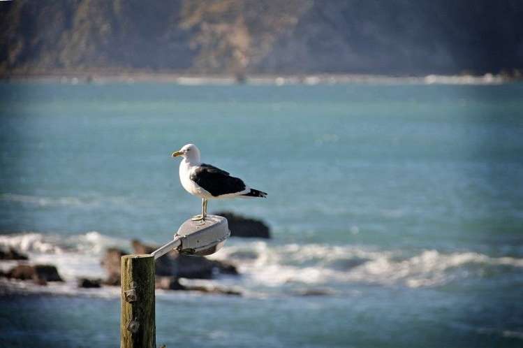 117 Breaker Bay Road Breaker Bay_23