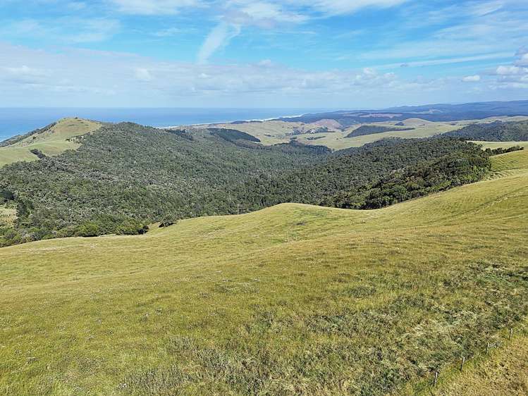 Cnr Hood Rd and SH12 Dargaville Surrounds_7