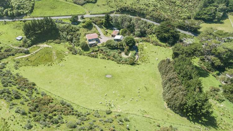 60 South Makara Road Makara_29