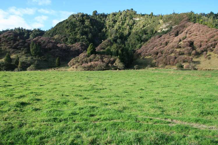 0n Mangaonga Road Ahititi_19