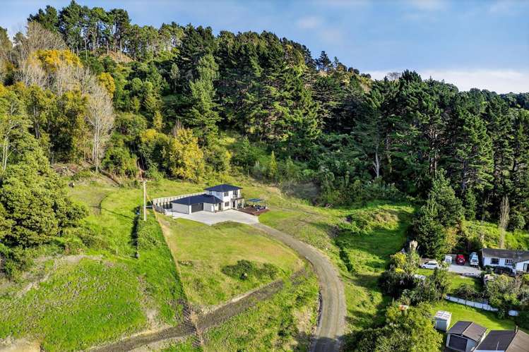 89 Endcliffe Road Kaiti_23