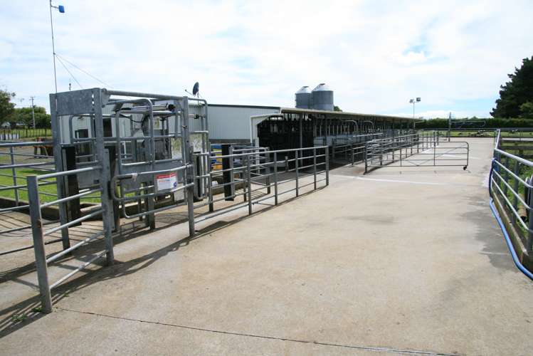 1641 Eltham Road Kaponga_14