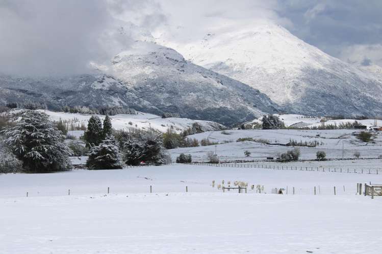 36 Glencoe Road Crown Terrace_22