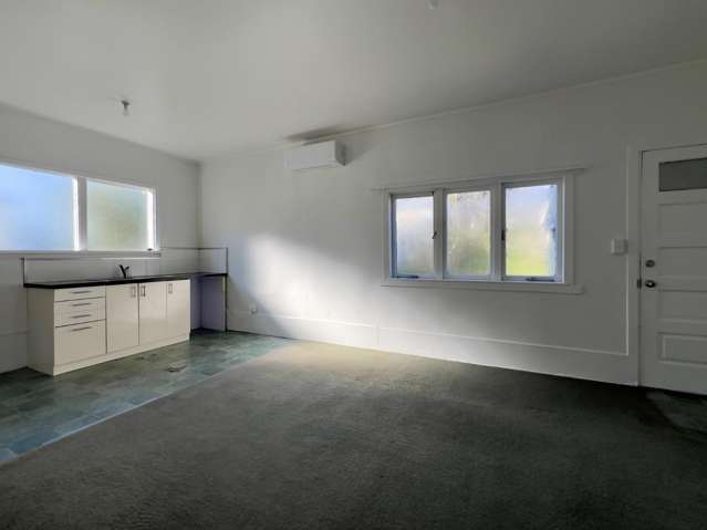 74 Sackville St Grey Lynn_2