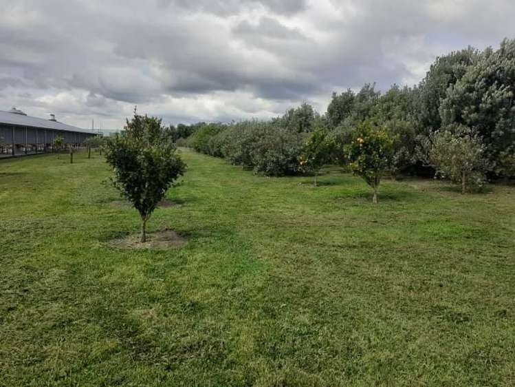 71 Douglas Road Pollok_6