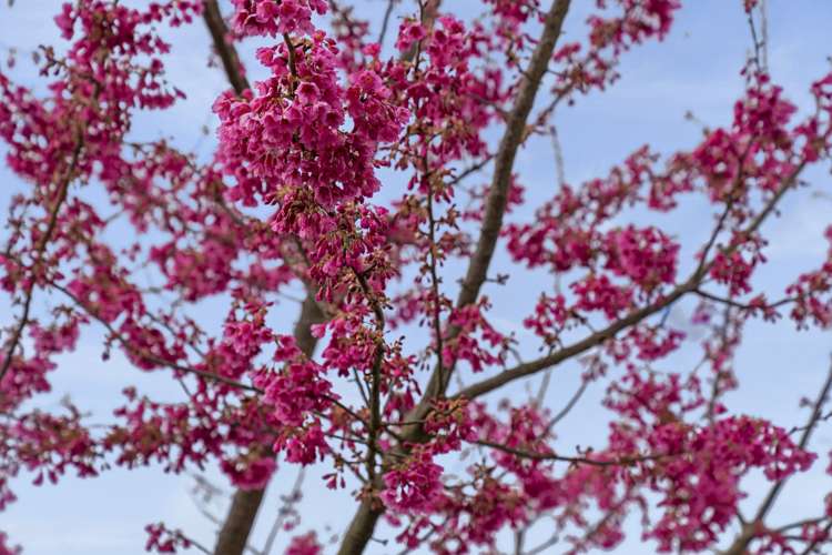 128b Main Road Katikati_8