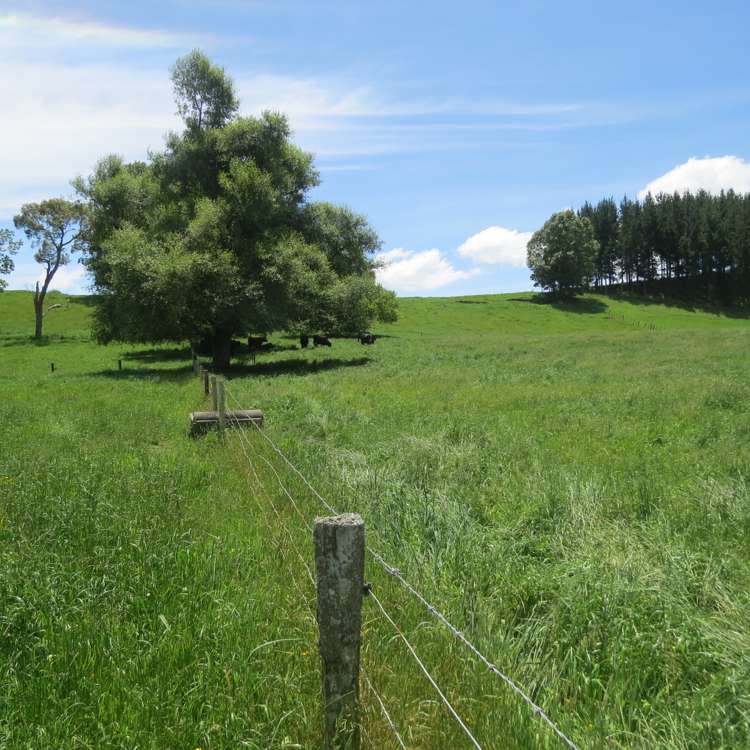 Whawharua Road Otorohanga_4