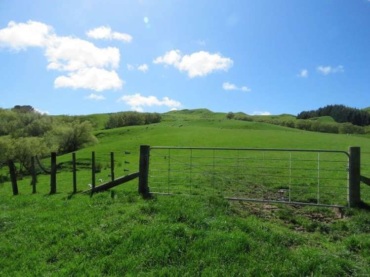 1072 Mangatuna Road Rangitikei Surrounds_10