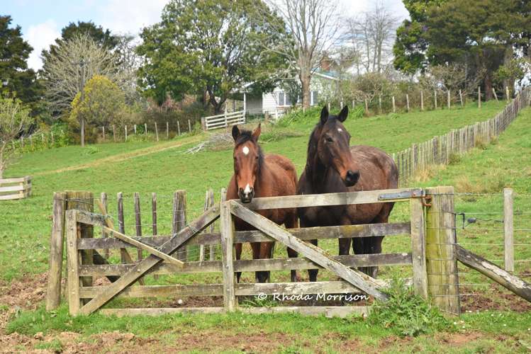 726 Paparoa Station Road Maungaturoto_67