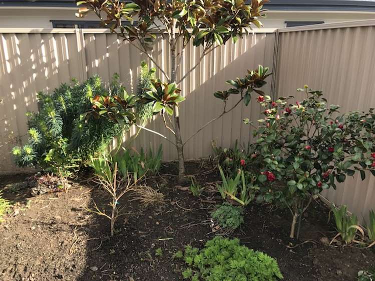 86b Molyneux Avenue Cromwell_17