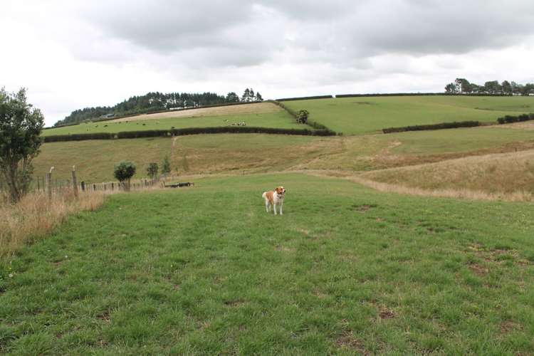 143 Logan Road Pukekawa_11