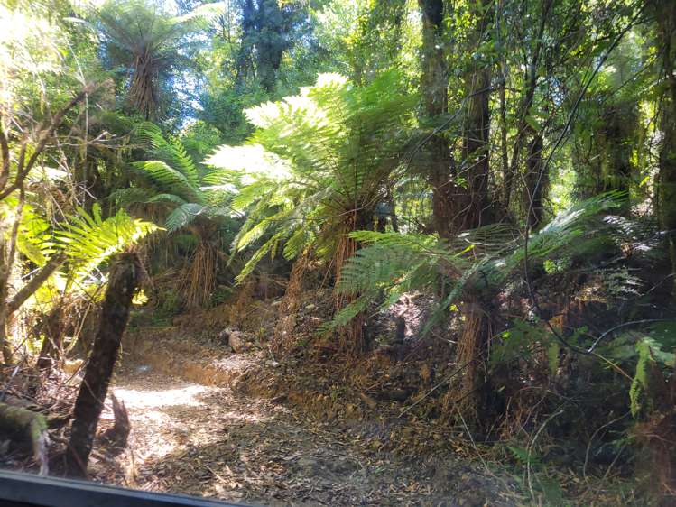 254 Doughboy Road Kokatahi_50