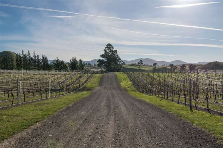 5468 State Highway 1 Seddon_12