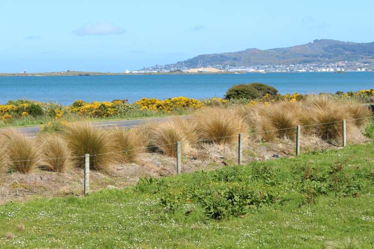 2171 Bluff Highway Greenhills_17