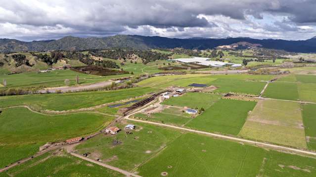 Brooklyn Farm, 126 McGinley Road Opotiki_4