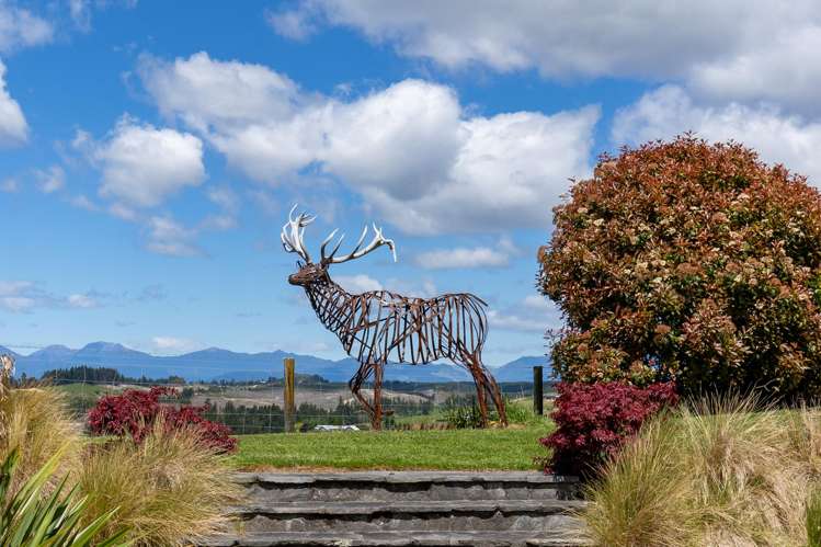 113 Weka Road Tasman_17