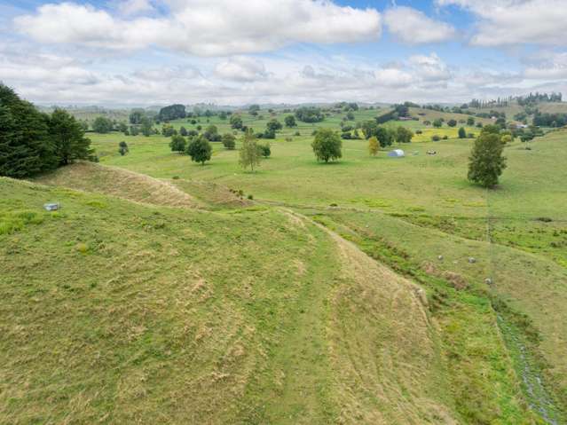 Taotaoroa Road Matamata_4