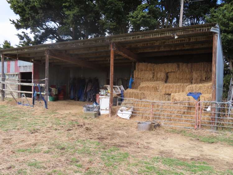 507 Otope Road Dannevirke_15