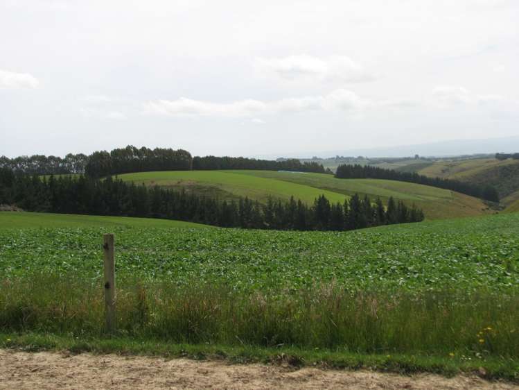 80 Blackburn Road Balclutha_9